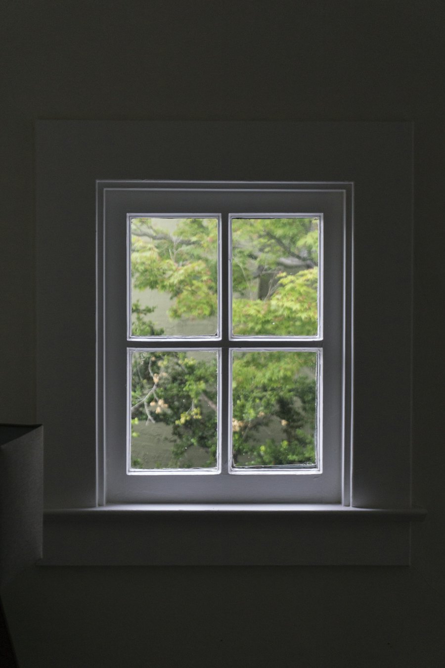 Ventana de cuatro cuadros con vista a un árbol, termopanel bajo emisivo en Chile Chico